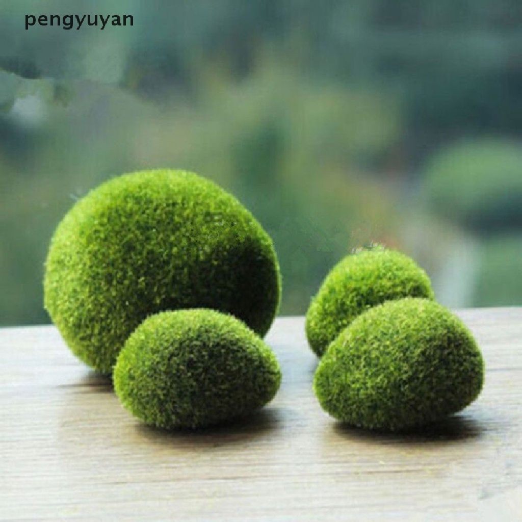 [pengyuyan] Đá Cỏ Marimo Mini Trang Trí Vườn Thần Tiên Terrarium [Mới]