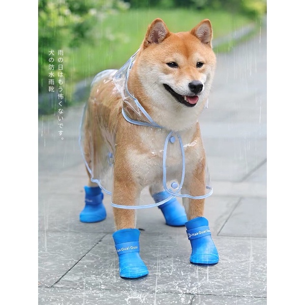 Giày ủng đi mưa cho chó mèo