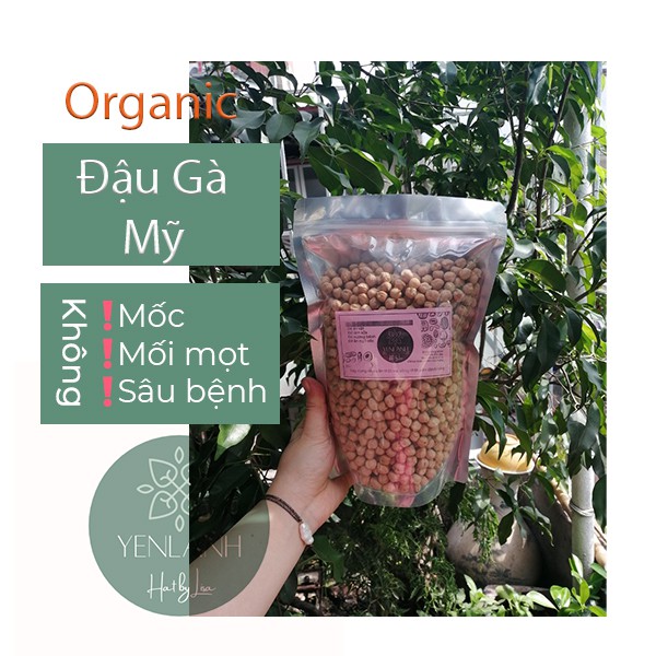 Đậu gà Mỹ hữu cơ làm sữa tàu hũ- đậu hũ chay ngon 100gr-500gr Yenlanhnatural