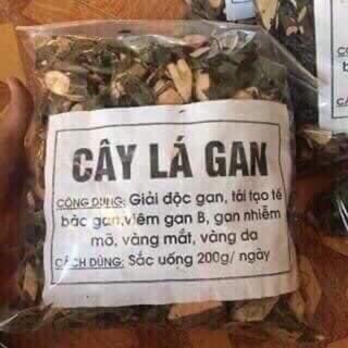 1Kg Cây lá mát gan,giải độc gan.tiêu độc tố