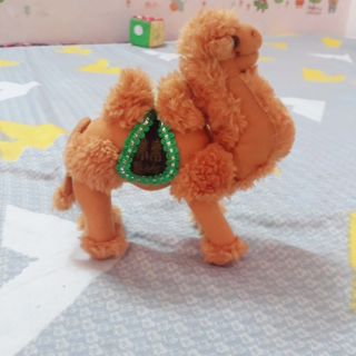 Gấu bông Lạc đà