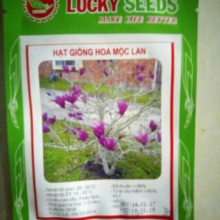 Hạt giống hoa mộc lan