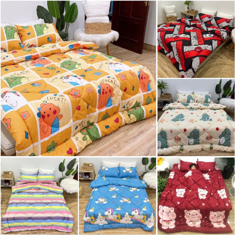 Bộ drap cotton poly chăn phao