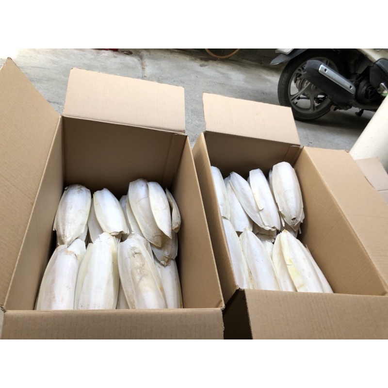 Nan mực nguyên miếng size 12cm trở lên