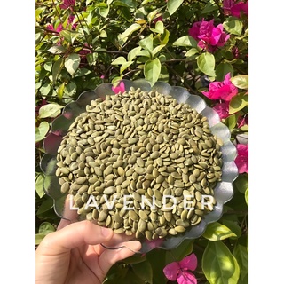 Nhân hạt bí xanh đã sấy chín 500g