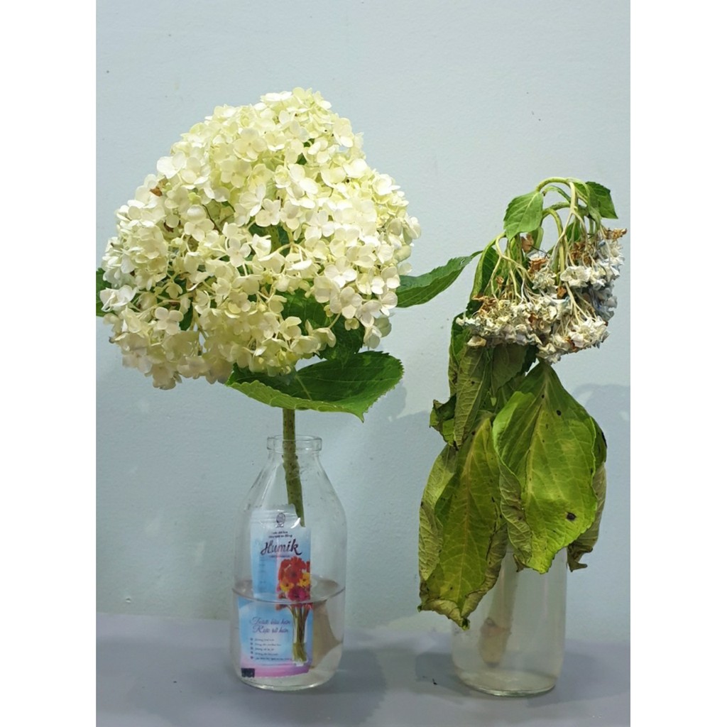 NƯỚC CẮM HOA HUMIK CHAI 900ML