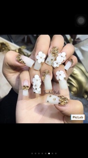 hoa mai bột1 tầng
