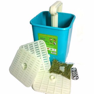 Máy làm giá đỗ bách khoa bkst