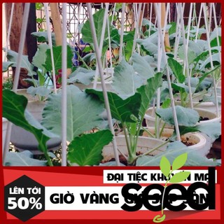Hạt Giống Su Hào Phú Nông 2 Gram