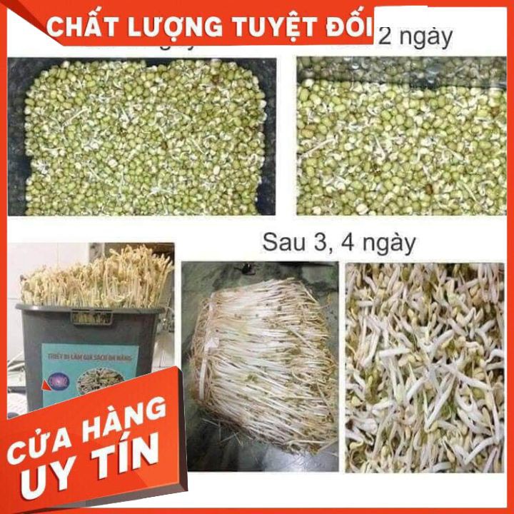 Máy làm rau giá sạch đa năng ĐT-103 – Phiên bản tự động - Guty Home