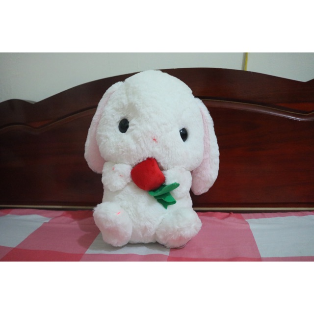 Thú bông thỏ ôm dâu Loppy bunny Amuse Plush chính hãng