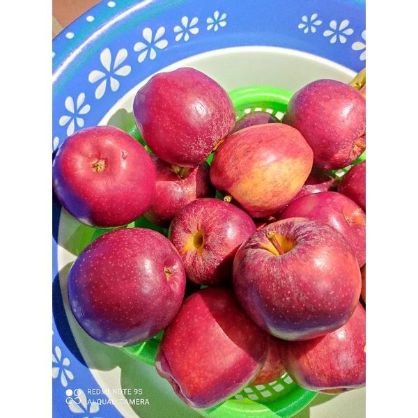 Giấm táo đỏ nhập khẩu Thanh Thanh, chai 500ml