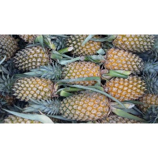 mứt dứa(thơm)1kg
