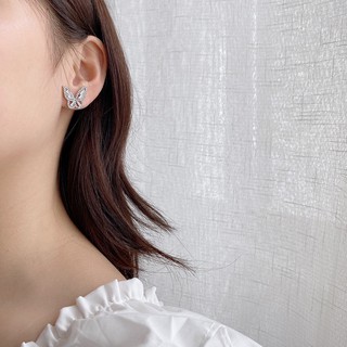 Bông tai bướm lấp lánh 🦋 (chuôi bạc s925)