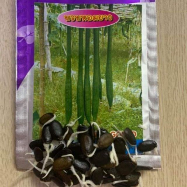 Hạt giống Mướp Hương siêu dài nhập nguyên gói Thái Lan 5gr ~ 40-50 hat (Sponge Gourd)
