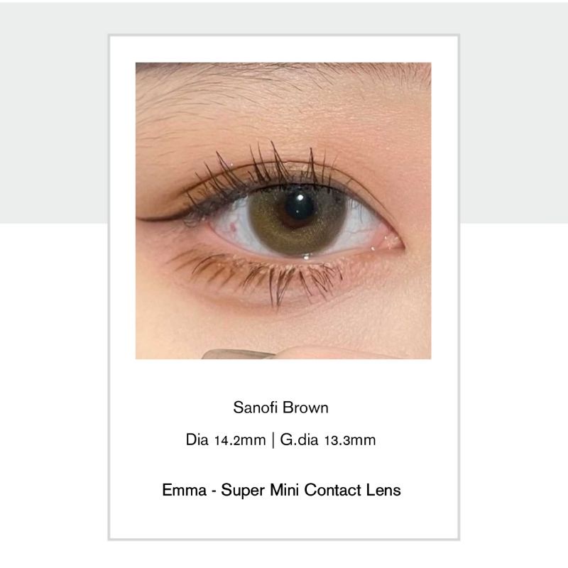 🌸 Kính Giãn Tròng Sanofi Brown - Kính giãn tròng màu nâu cực tây / Emma Super Mini Contact Lens 🌸