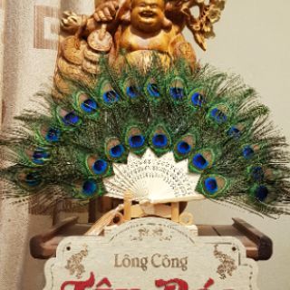 Quạt lông công loại 1