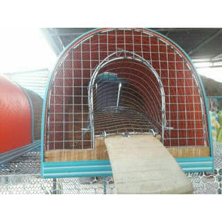 Lồng Bắt Chuột Thông Minh Size Trung  20cm-45cm