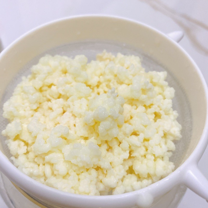 nấm sữa chua nấm kefir nấm hy lạp