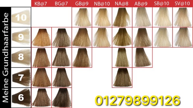 BỘ MÀU NHUỘM PHỦ BÓNG CAO CẤP ELUMEN 3 TRONG 1