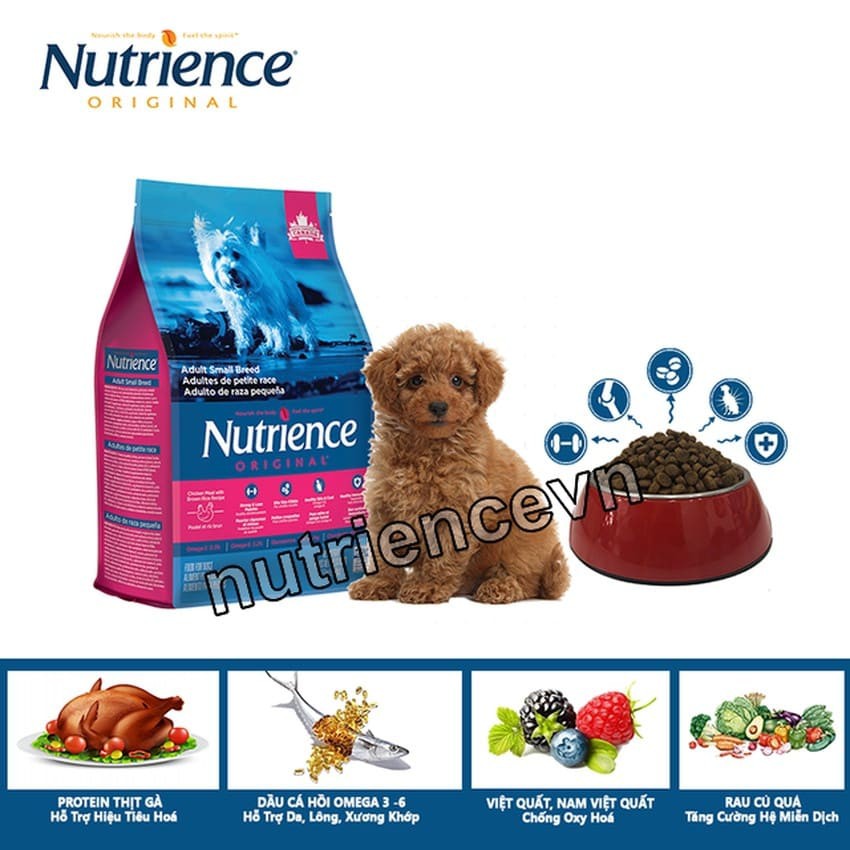 [DINH DƯỠNG CAO] Thức Ăn Cho Chó Nhỏ Nutrience Original Bao 500g - Thịt Gà, Rau Củ Quả Và Trái Cây Tự Nhiên