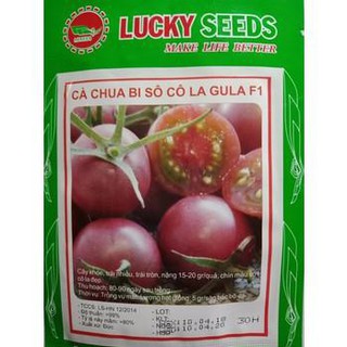 [HOT] Hạt Giống Cà Chua Bi Socola - 5 hạt