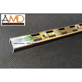 Ray đôi AMD-A2