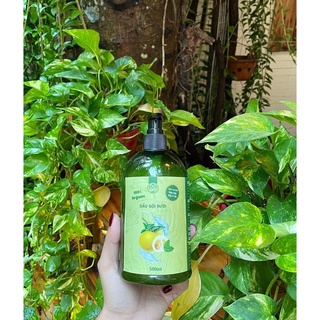 Dầu Gội Bưởi Rừng THH 🍐[ Chính Hãng ]
