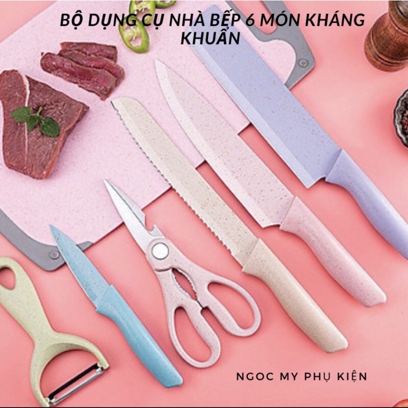 Bộ dao kháng khuẩn 6 món Everich