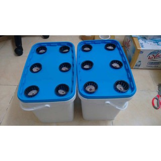 Bộ 2 THÙNG TRỒNG THỦY CANH HOPTRI GROWBOX LEAFTY CHO RAU ĂN LÁ