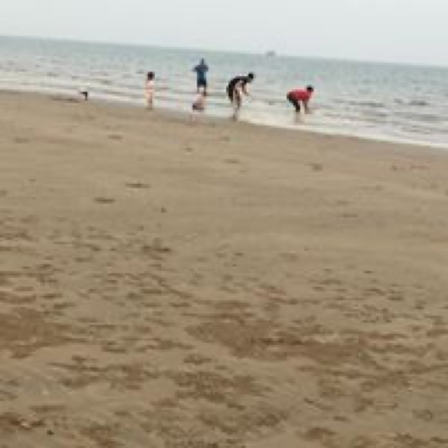 sonmcdp