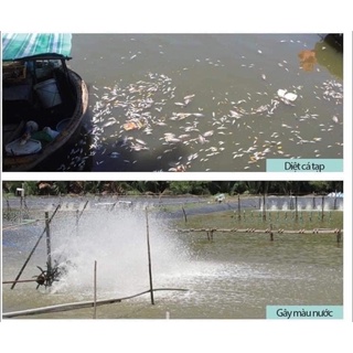 🐠 Thuốc cá chai Saponin