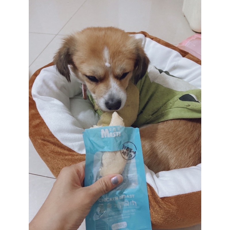 [Mã PET50K giảm Giảm 10% - Tối đa 50K đơn từ 250K] [ Rẻ vô địch ] Ức gà hấp thần thánh cho cún / mèo Masti
