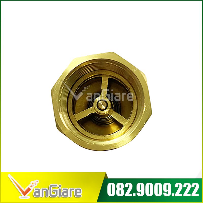 (Hàng chuẩn - đẹp) Van 1 chiều lò xo thau đồng Đài Loan 21mm, 27mm, 34mm