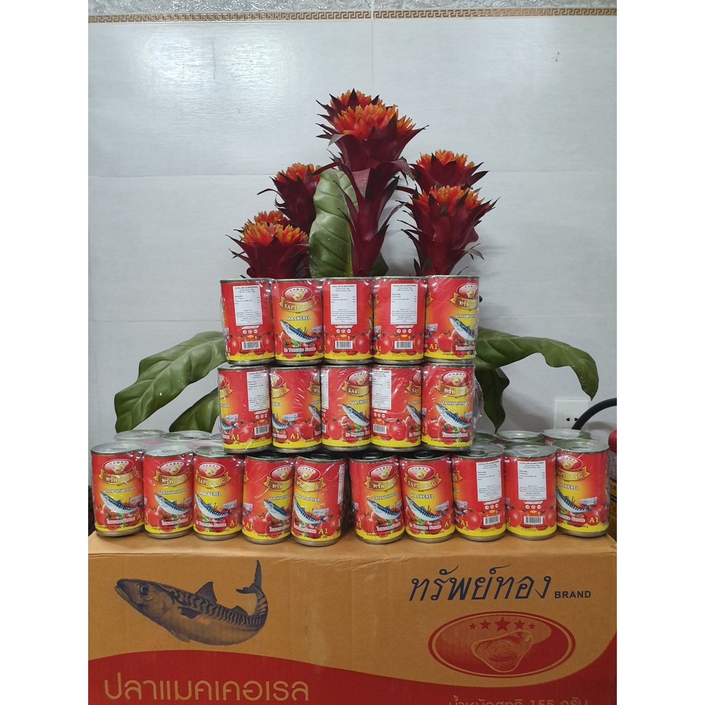 10 Lon Cá Thu Thái Sốt Cà - Shapthong 155g