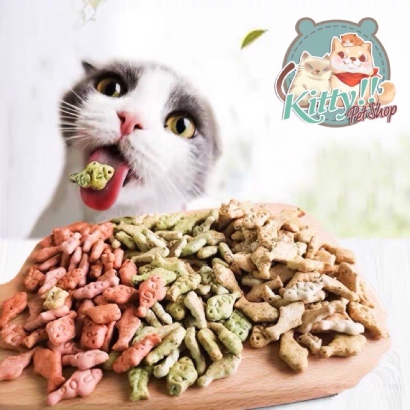 Snack bánh thưởng cho mèo nhiều vị hình cá túi 100g, snack ăn vặt cho mèo thơm ngon - Kitty Pet Shop BMT