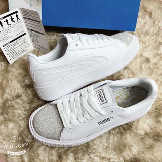 Puma puma.