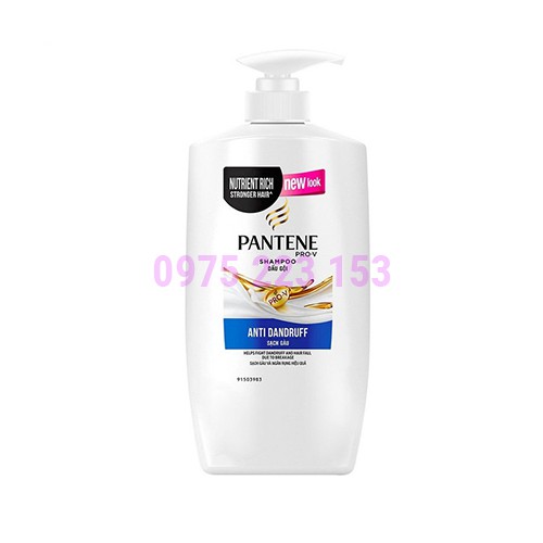 Dầu Gội Ngăn Ngừa Gàu PANTENE Anti Dandruff Shampoo 900g