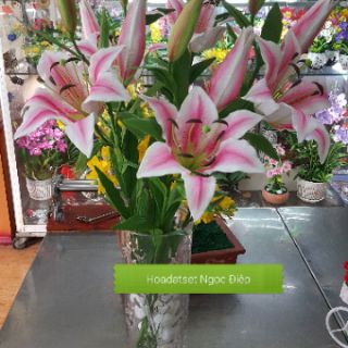 Xốp Làm Nụ Hoa Ly Đất Sét Ngọc Điệp - Tạo Nên Những Bó Hoa Đẹp Như Mơ- An Toàn Cho Người Sử Dụng,kt9-10cm