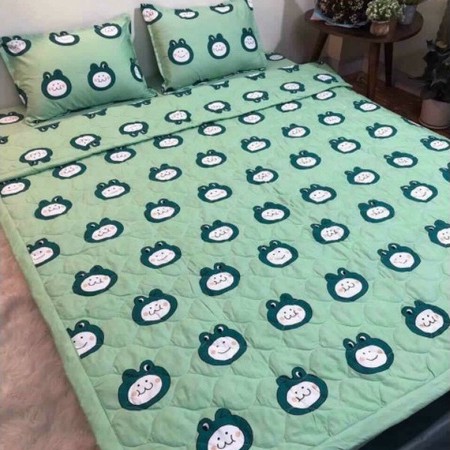 Bộ chăn ga 5 món chăn hè (chăn trần bông 3 lớp)