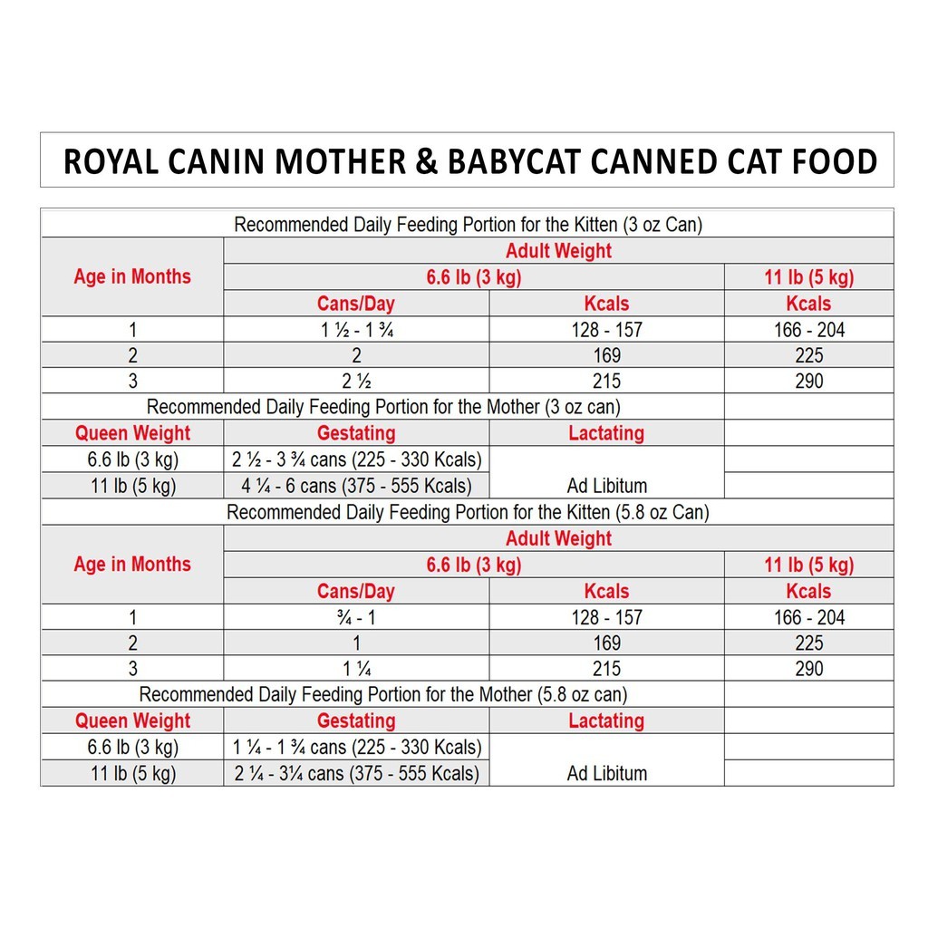 Thức ăn cho mèo nuôi con Royal Canin Mother&amp; BabyCat - túi 4kg