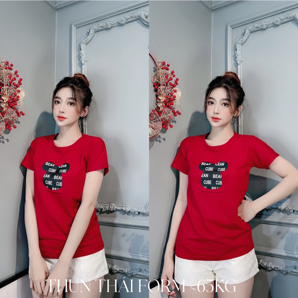 Áo thun nữ chất thái mát form vừa người nhiều màu freesize