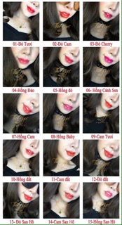 Combo 5 son Cao cấp Thu Ngọc lipstick