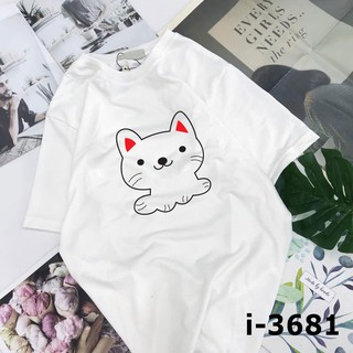 ÁO THUN NỮ FORM RỘNG TAY LỠ IN MÈO SIÊU CỰC CUTE 55KG -75KG - CHUYÊN ÁO THUN GIÁ RẺ