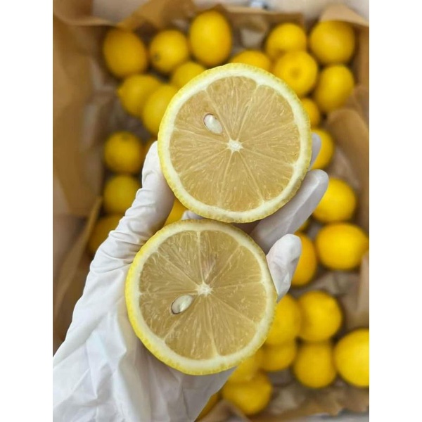 Chậu giống Chanh Mỹ Vàng