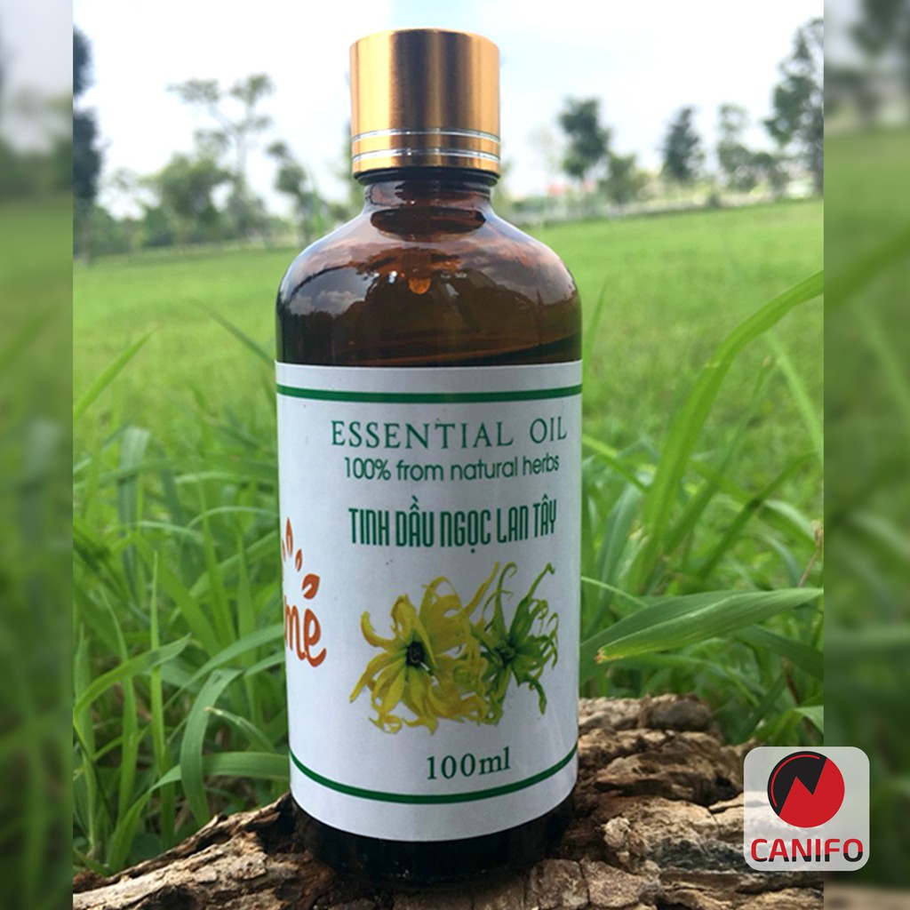 Tinh dầu ngọc lan tây nguyên chất 100ml Canifo có kiểm định chất lượng, tinh dầu thiên nhiên thơm nhà, thanh mát khử mùi