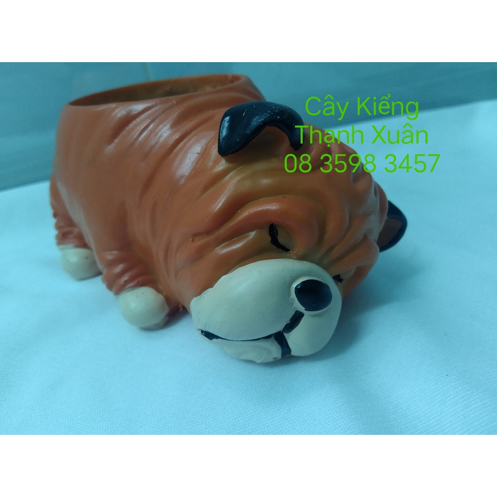 Chậu trồng cây sen đá xương rồng mini hình chú chó nằm ngủ màu cam, chậu nhựa composite  dễ thương nhiều mẫu.