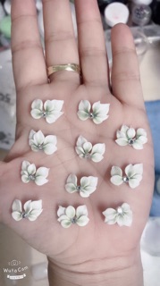Hoa bột dán móng chân