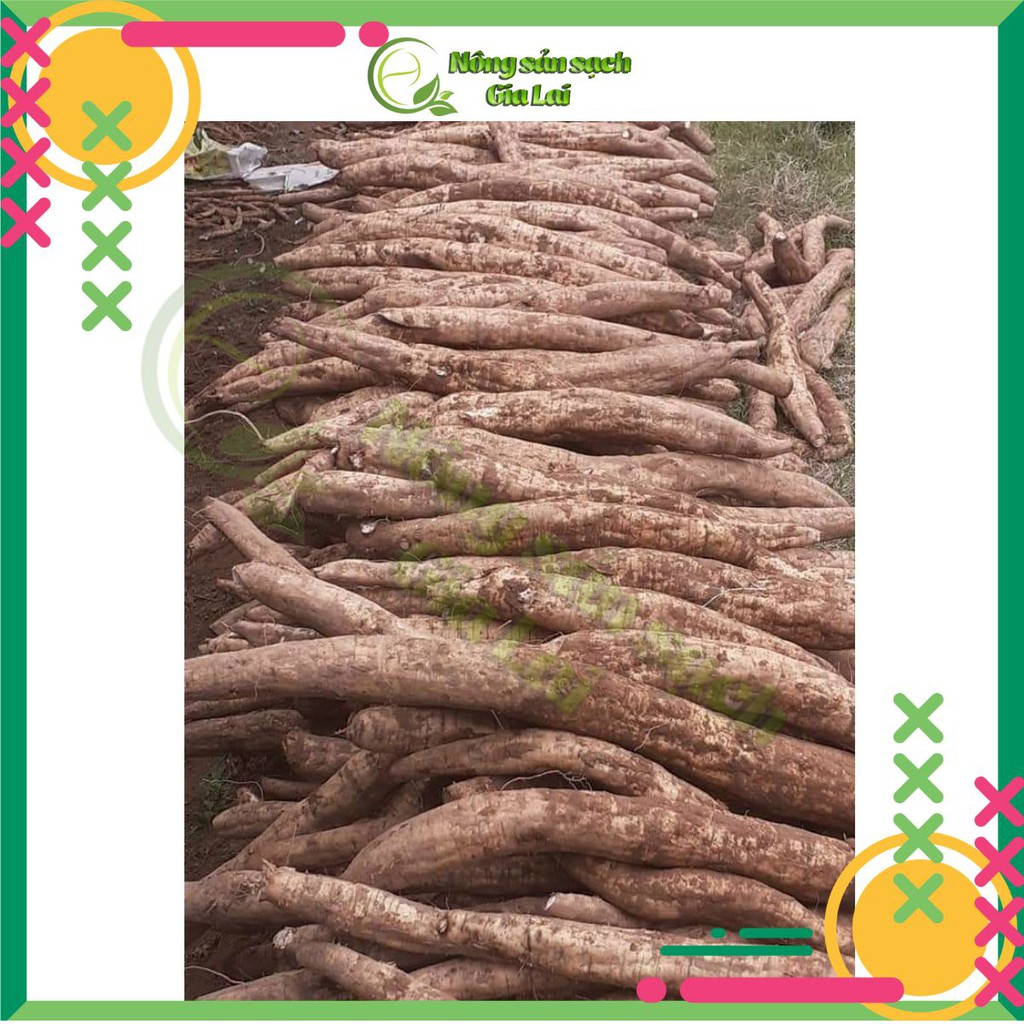 1kg Bột sắn dây thơm, ngon  chuẩn  sấy bằng điện bột rất mịn và thơm, trắng sạch