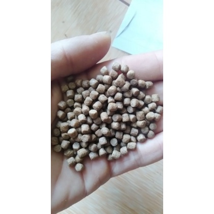 1kg Cám cá koi tự chọn theo yêu cầu